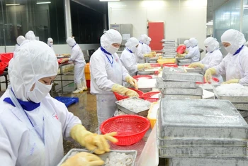 Thủy sản Việt Nam là một trong những mặt hàng có mặt tại hệ thống bán lẻ trên nhiều quốc gia trên thế giới. (Ảnh: ĐỨC AN)