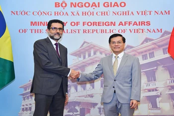 Thứ trưởng Ngoại giao Hà Kim Ngọc tiếp Thứ trưởng Ngoại giao Brazil. (Ảnh: Báo Thế giới và Việt Nam)