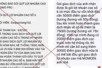 Nhiều người dân sập bẫy bởi tin nhắn mời chào tham gia quỹ đầu tư MoMo Pro. (Ảnh chụp màn hình)