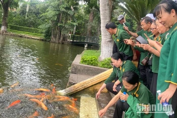 Du khách tham quan ao cá Bác Hồ.