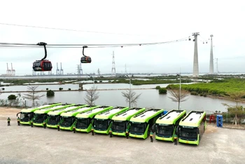 Vận hành xe điện tuyến ga Phù Long đến Vịnh trung tâm Xanh Island tại đảo du lịch Cát Bà.