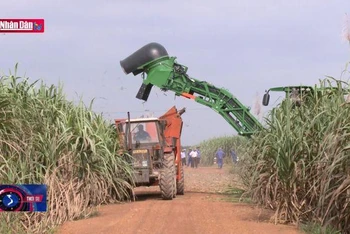 Áp dụng phòng vệ thương mại đối với một số sản phẩm đường mía