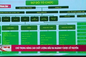 Chú trọng nâng cao chất lượng đầu ra ngành Y dược Cổ truyền