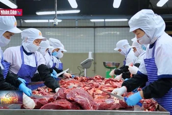Chuẩn bị hàng thiết yếu dịp cuối năm