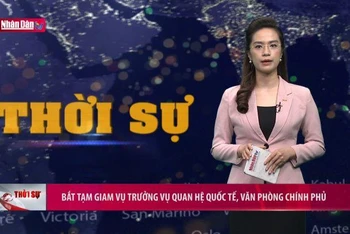 Bắt tạm giam Vụ trưởng Vụ Quan hệ quốc tế, Văn phòng Chính phủ