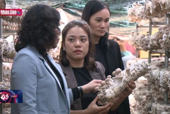 Giúp dân làm giàu trên vùng đất khó