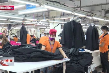Những chính sách phục hồi giúp thị trường lao động vượt qua các ''cú sốc''