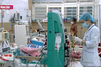 570 ca khám, cấp cứu do ngộ độc thức ăn