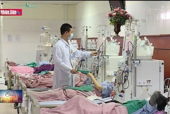 Gia tăng và trẻ hóa bệnh nhân suy thận
