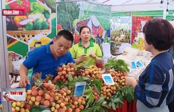 Tiêu thụ nông sản: Khai thác bền vững thị trường nội địa