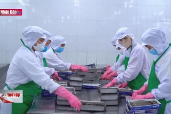Khai phá thị trường Halal: Cơ hội và thách thức