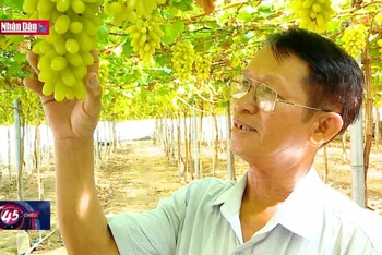 Trưởng thôn nói đi đôi với làm