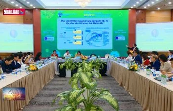 Phát huy vai trò hợp tác xã trong phát triển nông nghiệp bền vững