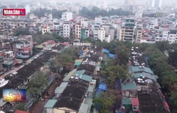 Dự báo năm 2024, giá chung cư sẽ tăng