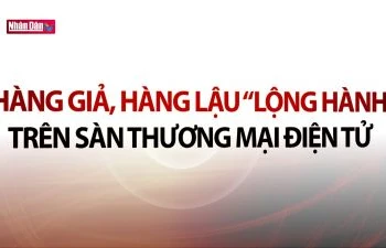 Hàng giả, hàng lậu ''lộng hành'' trên sàn thương mại điện tử