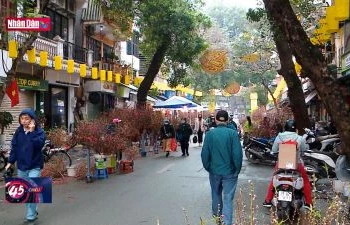 Rực rỡ sắc màu chợ hoa xuân Hàng lược