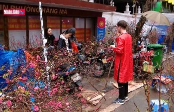 Rực rỡ sắc màu chợ hoa xuân Hàng Lược