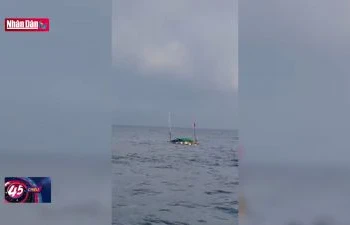 Tai nạn chìm tàu cá, 9 ngư dân thương vong