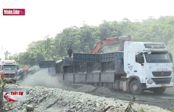 Tạo thuận lợi cho mặt hàng than đá nhập khẩu