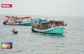 Cà Mau thiết lập an ninh, trật tự trên biển