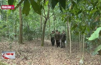 Phòng, chống cháy rừng Đền Hùng mùa Lễ hội