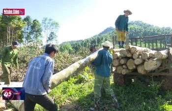 Nâng cao giá trị đa dụng hệ sinh thái rừng