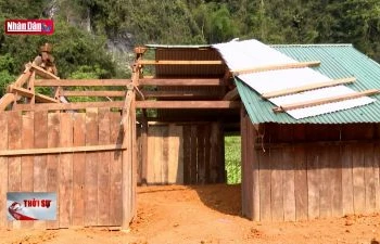 117 ngôi nhà bị tốc mái do giông lốc tại Tuyên Quang