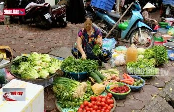 Giá nông sản thiết yếu tăng mạnh sau bão