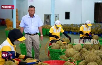 Nông sản Việt rộng cửa sang Trung Quốc