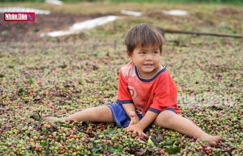 Nhìn lại bản làng không tên của những người di dân tự do