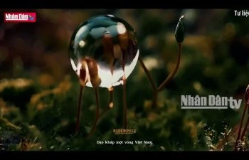 Phát triển công nghiệp điện ảnh từ công nghệ AI