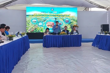 Toàn cảnh hội thảo