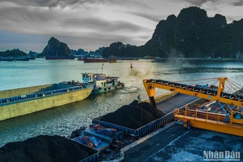 Các đơn vị thuộc Tập đoàn Công nghiệp Than-Khoáng sản Việt Nam (TKV) bốc rót than tiêu thụ cho các hộ sản xuất.