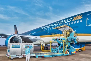 Hàng hoá đang được chất xếp lên tàu bay Vietnam Airlines.