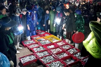 Rất đông tiểu thương đứng chờ để thu mua hải sản ngay khi vừa được đưa từ dưới thuyền lên.