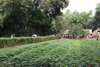 Hàng nghìn người dân, du khách đã về thăm khu Di tích lịch sử quốc gia đặc biệt Kim Liên - Quê hương của Chủ tịch Hồ Chí Minh.