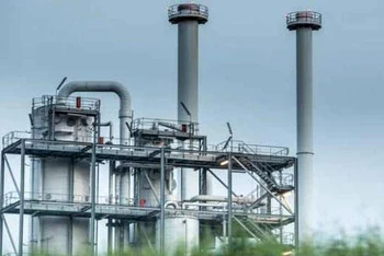 Cảnh trong phim "Vàng xanh". (Ảnh: Phái đoàn cung cấp)