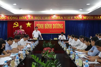 Phó Tổng Thanh tra Chính phủ Lê Sỹ Bảy phát biểu ý kiến tại buổi làm việc.