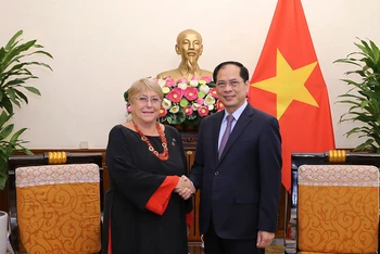Bộ trưởng Ngoại giao Bùi Thanh Sơn tiếp Cựu Tổng thống Chile Michelle Challet Jeria