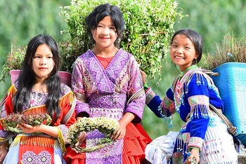 Không quá lời nếu nói rằng, những bé gái ở dốc Thẩm Mã, con đường đèo trên Quốc lộ 4C nối giữa thành phố Hà Giang và huyện Mèo Vạc như là biểu tượng của Hà Giang, của du lịch Hà Giang với những gùi hoa đầy màu sắc sau lưng.