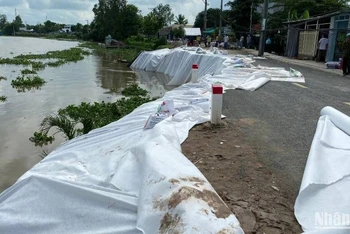 Hiện trường khu vực sạt lở Mỹ Khánh.