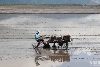 Việc buôn bán phân bón giả hay kém chất lượng ảnh hưởng đến nhà nông.