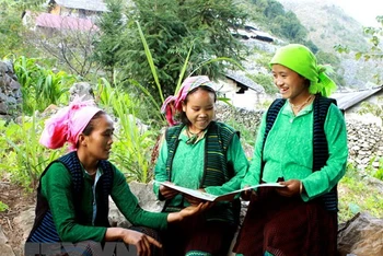 Ảnh minh họa. (Nguồn: TTXVN)