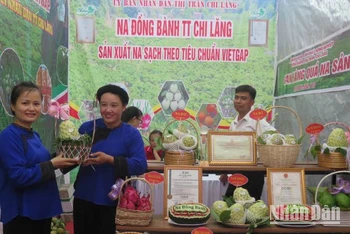 Sản phẩm quả na Chi Lăng (huyện Chi Lăng) được trưng bày tại Chương trình quảng bá, tiêu thụ na.