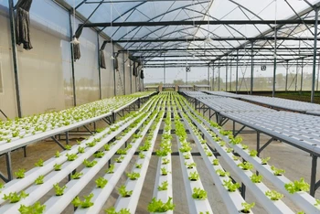 Nhiều doanh nghiệp “lúng túng” trong việc chứng minh tính xanh của dự án khi tiếp cận nguồn vốn ưu đãi. (Ảnh: MINH PHƯƠNG)