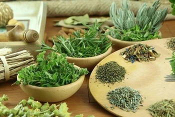 Cảnh báo thuốc nam gia truyền giả mạo giấy xác nhận của Bộ Y tế