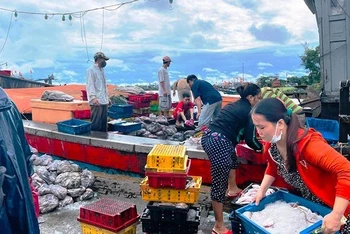 Chuyến cập bờ cuối cùng của ngư dân Thuận An (thành phố Huế) trước khi bão số 4 đổ bộ vào đất liền.