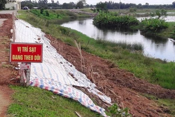 Lực lượng chức năng đã cắm biển báo theo dõi vị trí đê sụt, lún.