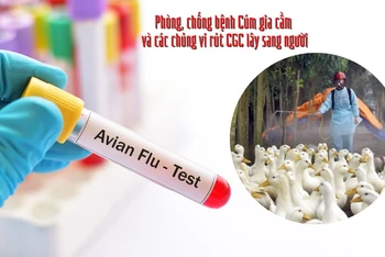 (Ảnh minh họa)