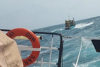 Ứng cứu tàu cá kịp thời.